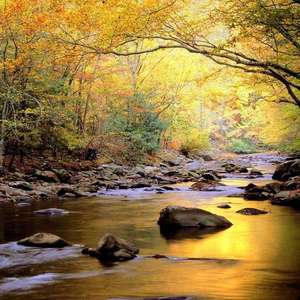 日韩在线中文字幕
